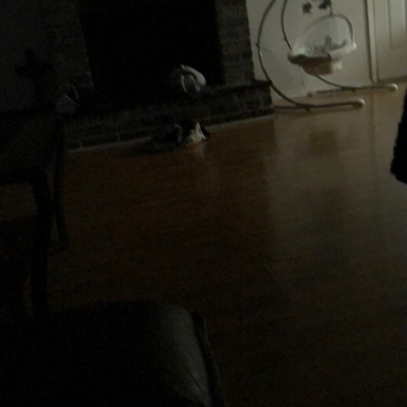 Meet your Posher, Bryana - Picture 1 of 1